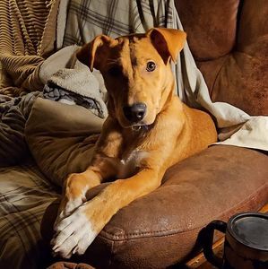 Meet your Posher, Alan